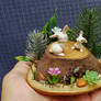 Rabbit Glade