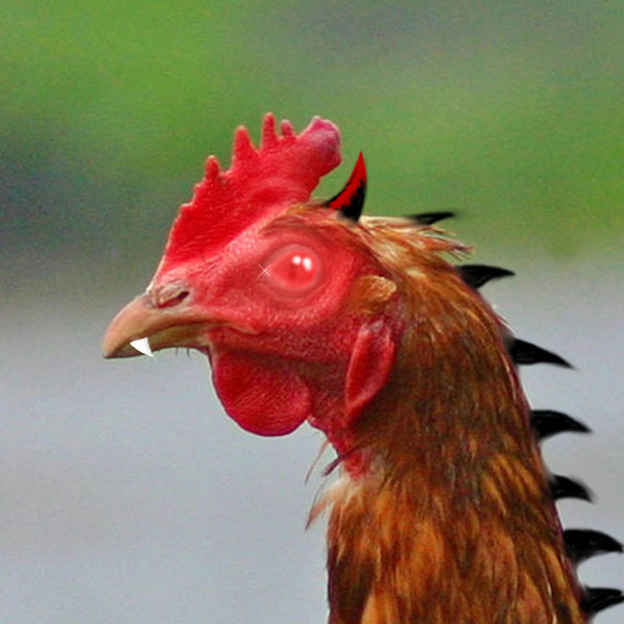 Evil Chicken Colour In Evil Chicken by Cynder72496 on DeviantArt
