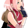 Sakura Haruno - The Last Ver Render