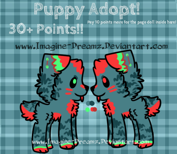 Male/Female Puppy AUCTION!!