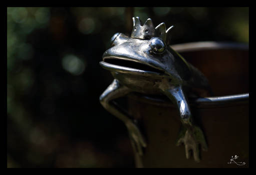 Frog King