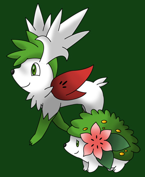 Journal Shaymin