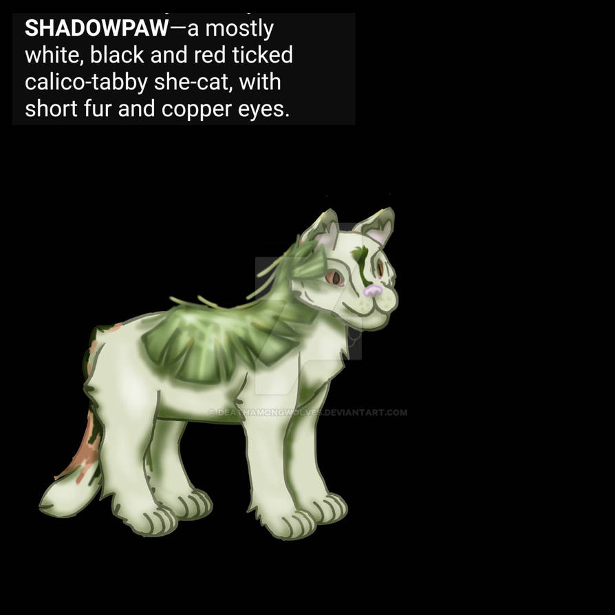 Shadow Wuapoo Shadow'Paw by DeathAmongWolves on DeviantArt