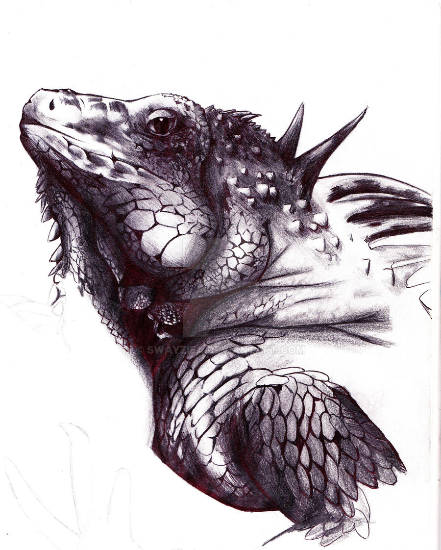 Iguana work in progress