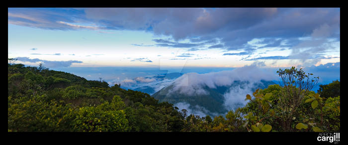 Blue Mountain Panorama