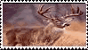 Deer love stamp by ChevreLune