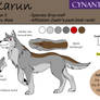 Karun ref. sheet