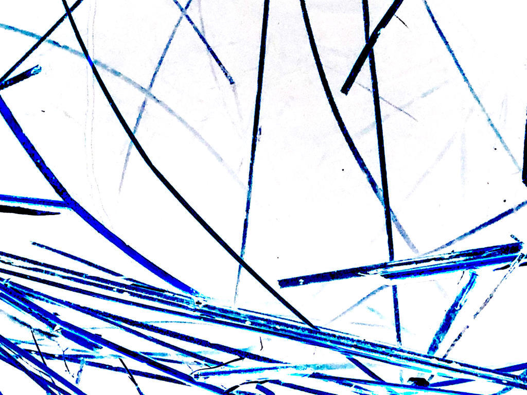 Invered Red REEDS 5 - Inverted Colours by ericaschwendener on DeviantArt