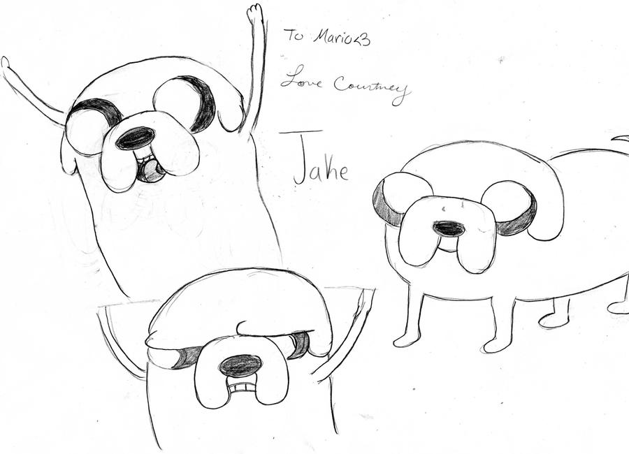 Curtoons Jake! by Curtoons on DeviantArt