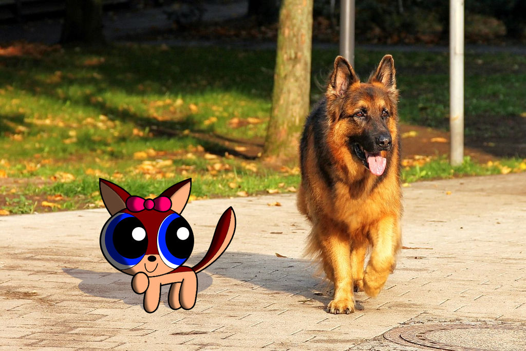 Hi there, Mr. German Shepherd! by AldrineRowdyruffBoy on DeviantArt