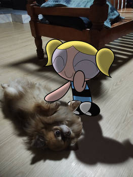 What a cute little doggy you are!