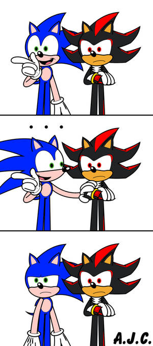 Be serious with Shadow, Sonic!