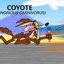 77 years of careless coyotes and rapid roadrunners
