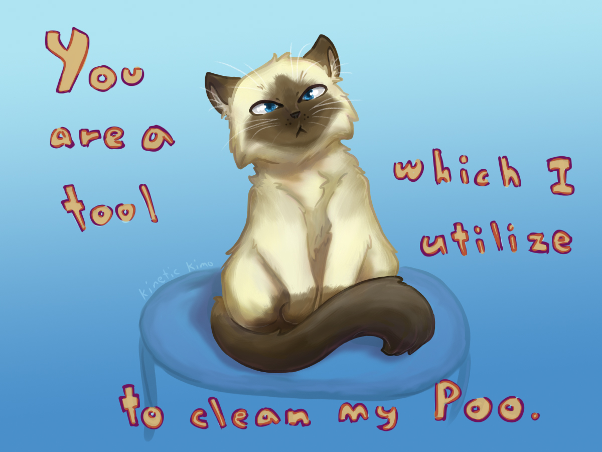 How Rude Cat Rude Cat by KineticKimo on DeviantArt