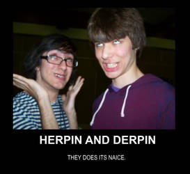 Herp-A-Derp