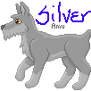 Avatar for Silver
