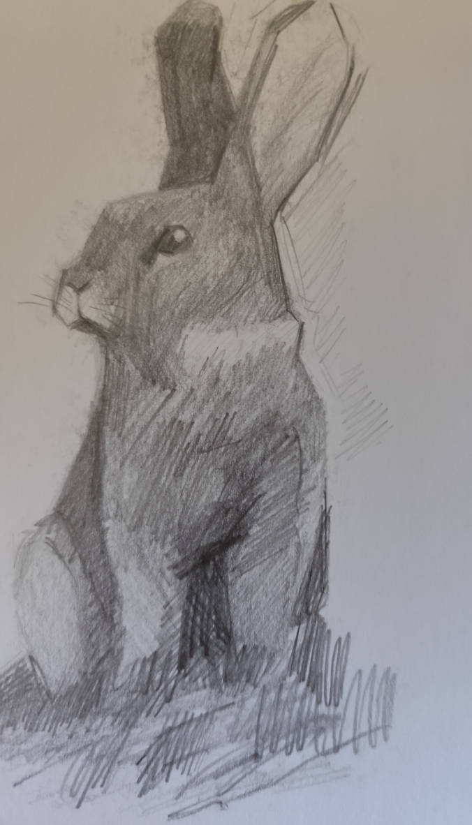 Uncanny Rabbit Drawing Rabbit/bunny by Alphonsearmor7 on DeviantArt