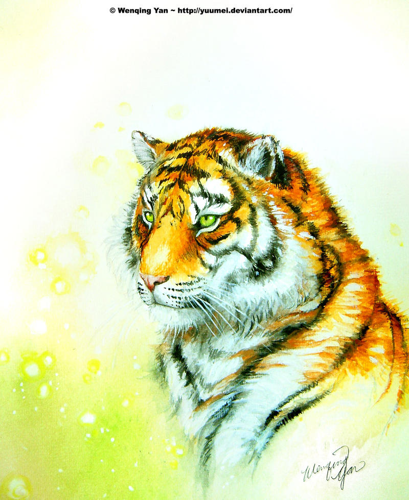 Gift of Wisdom by yuumei