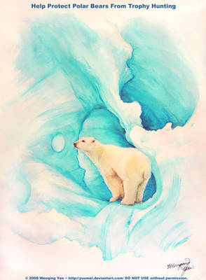 Let There Be Life: Polar Bears