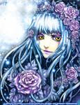 Winter Rose by yuumei