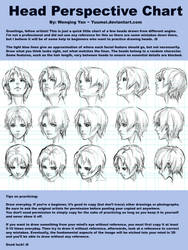 Head Perspective Chart