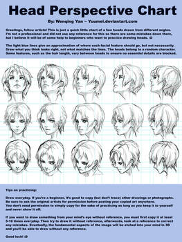 Head Perspective Chart