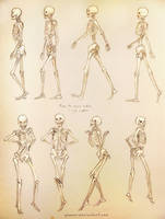Single Ladies Skeleton Study