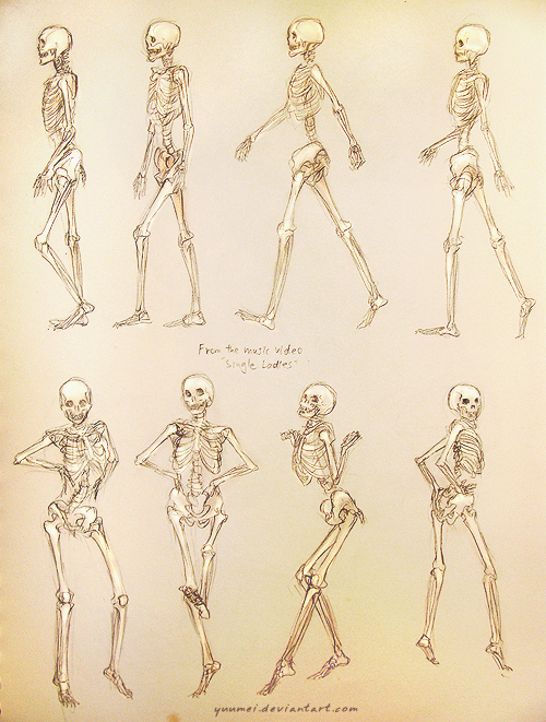 Single Ladies Skeleton Study