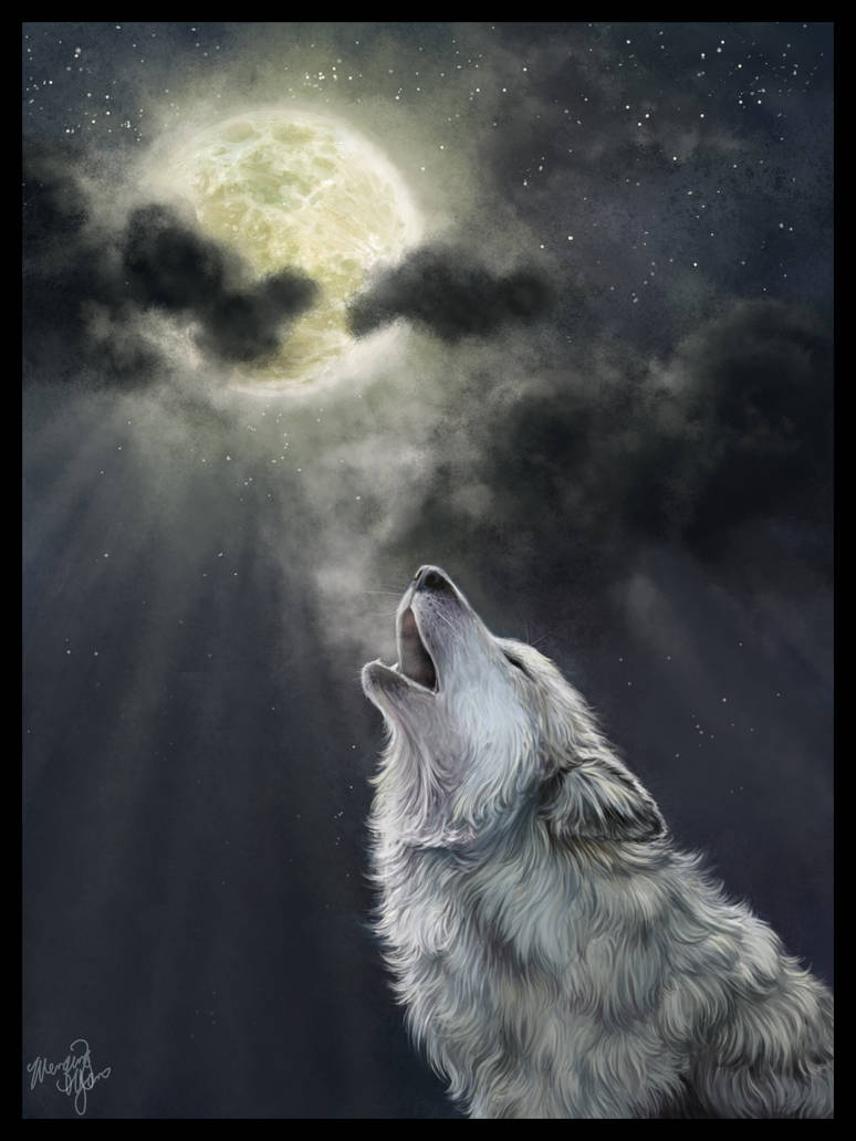 Вой волка на луну песня. Одинокий волк. Волк воет на луну. Воющий волк. Волк и Луна.