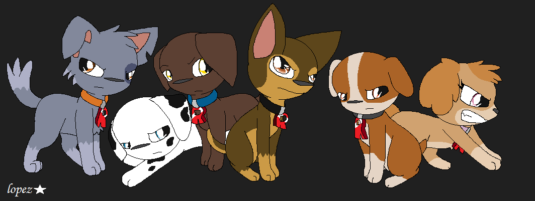 Paw top patrol rocket