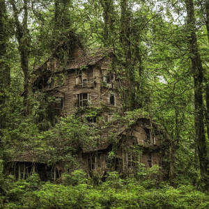Casa ruinosa en el bosque.