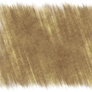 Brushed Background Texture 10