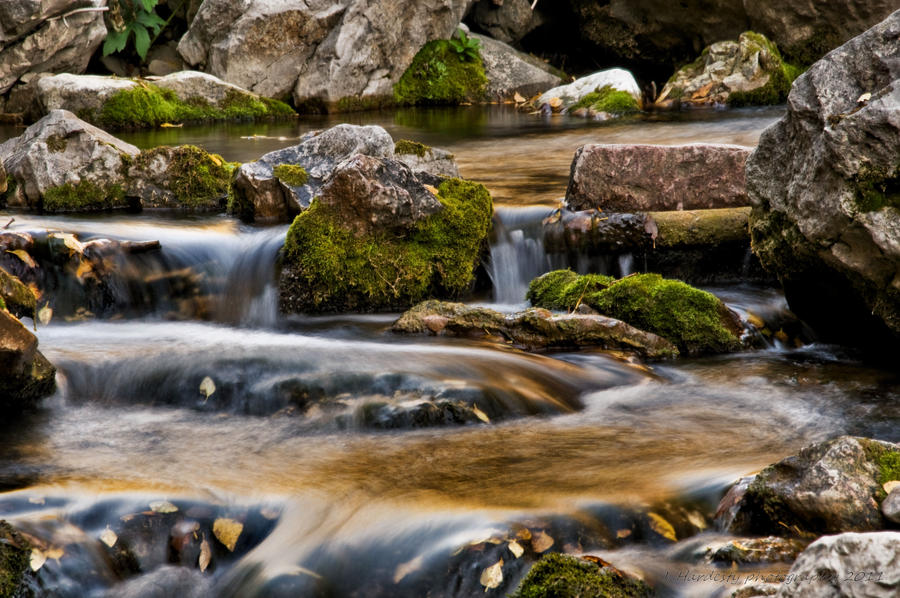 The Unity of Water