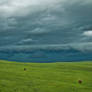 Wild Montana Skies