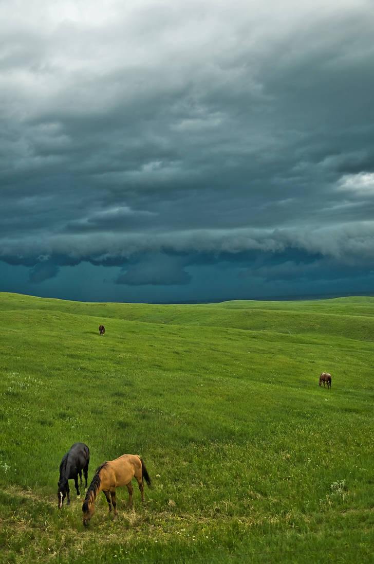 Wild Montana Skies by Corvidae65