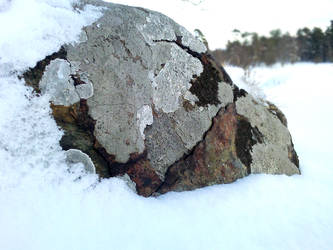 Snow Stone