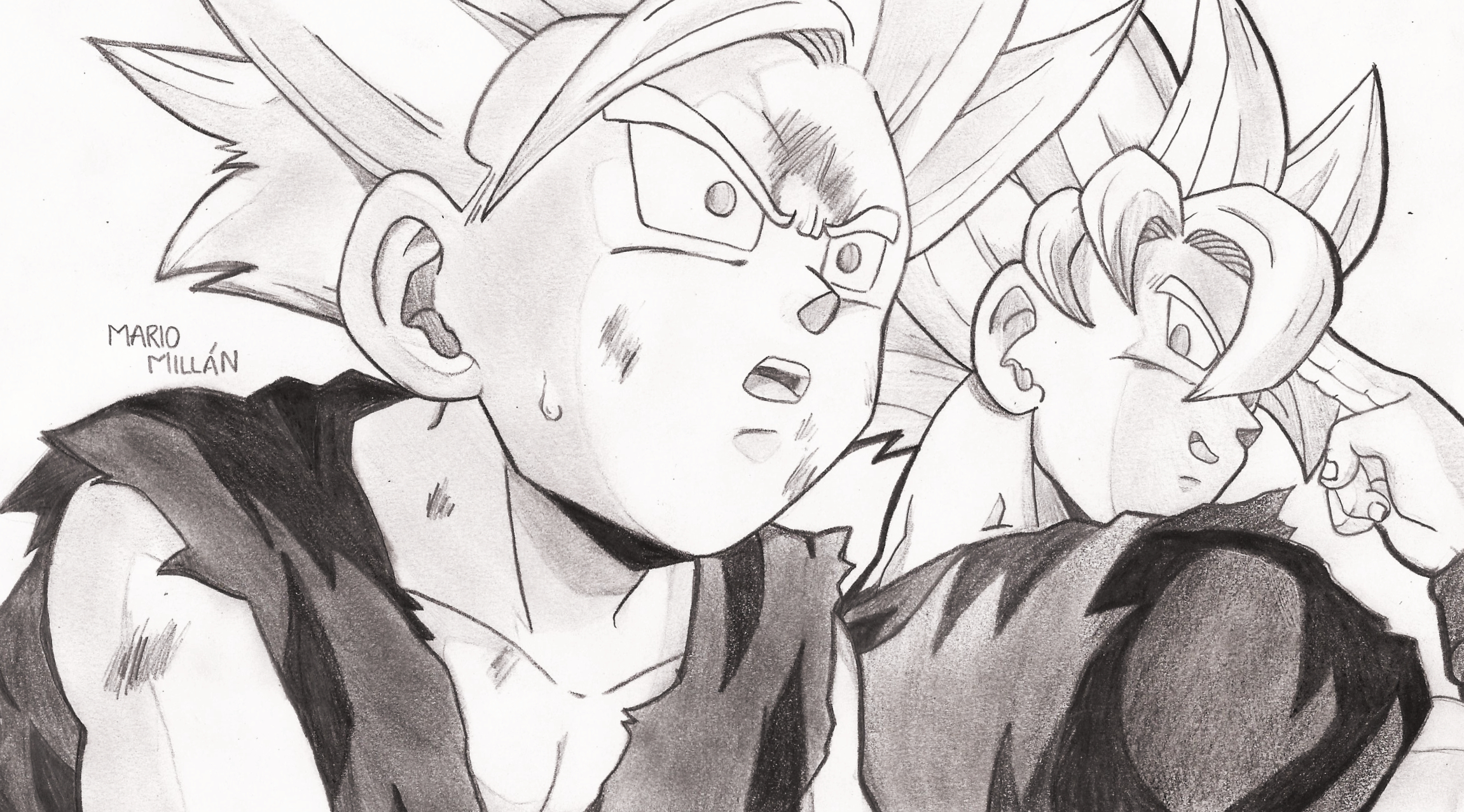 DragonballZ Goku y Gohan DBZUT