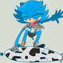 Sonic: Riders SkyBlue