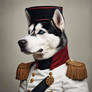 Noble Husky 2