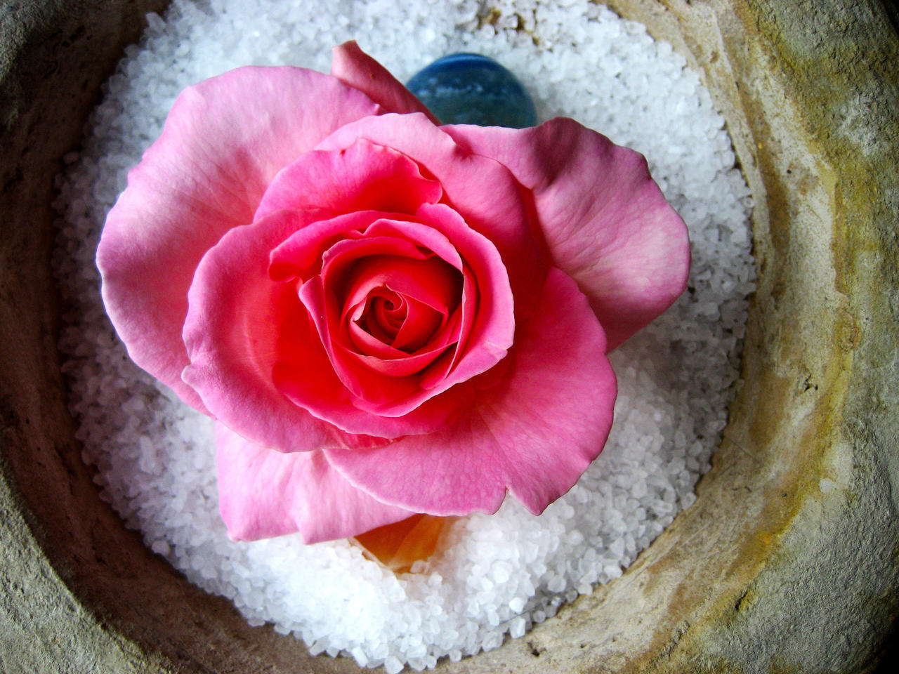 Rose, bowl, sea salt and gemstones