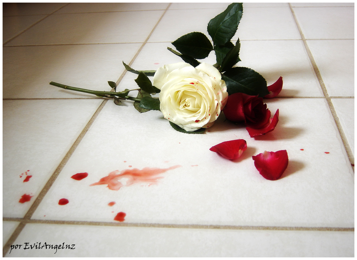 Blood + Rose + Floor