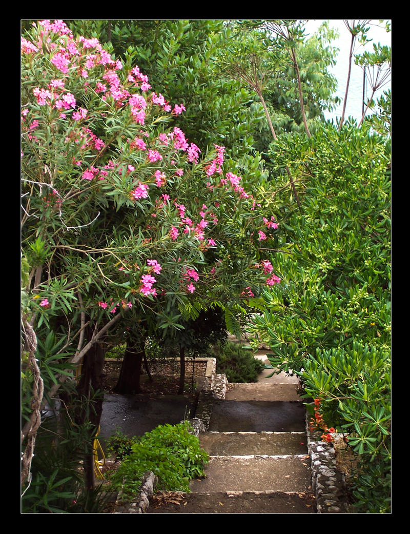 Garden stairs