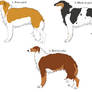 Imperial Azorean Hound | Adopts (1/3 OPEN)