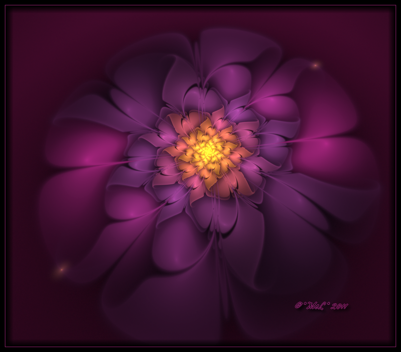 Fleur en Apophysis..