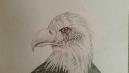 Eagle