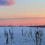 Snowfall and Sunset