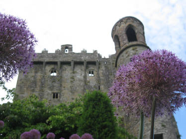 A Castle Through the Flowers