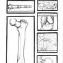 Anatomy 2 Hi-Rez scan