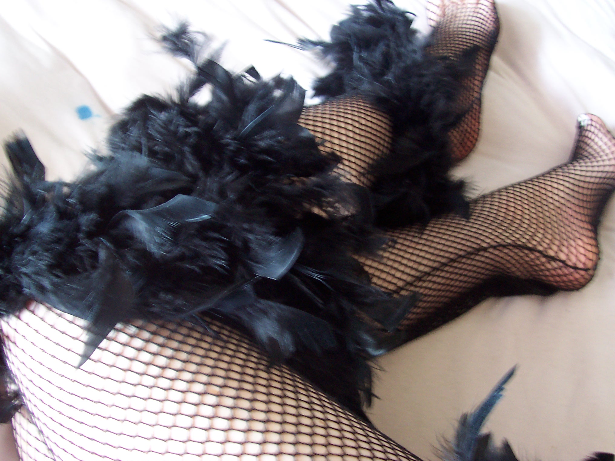 Fishnets And Feathers