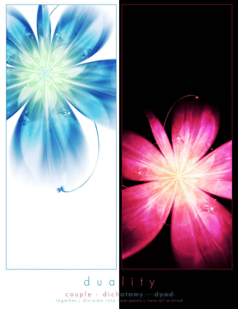 Duality